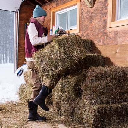 Dames Karwei Mid Muckboot Zwart