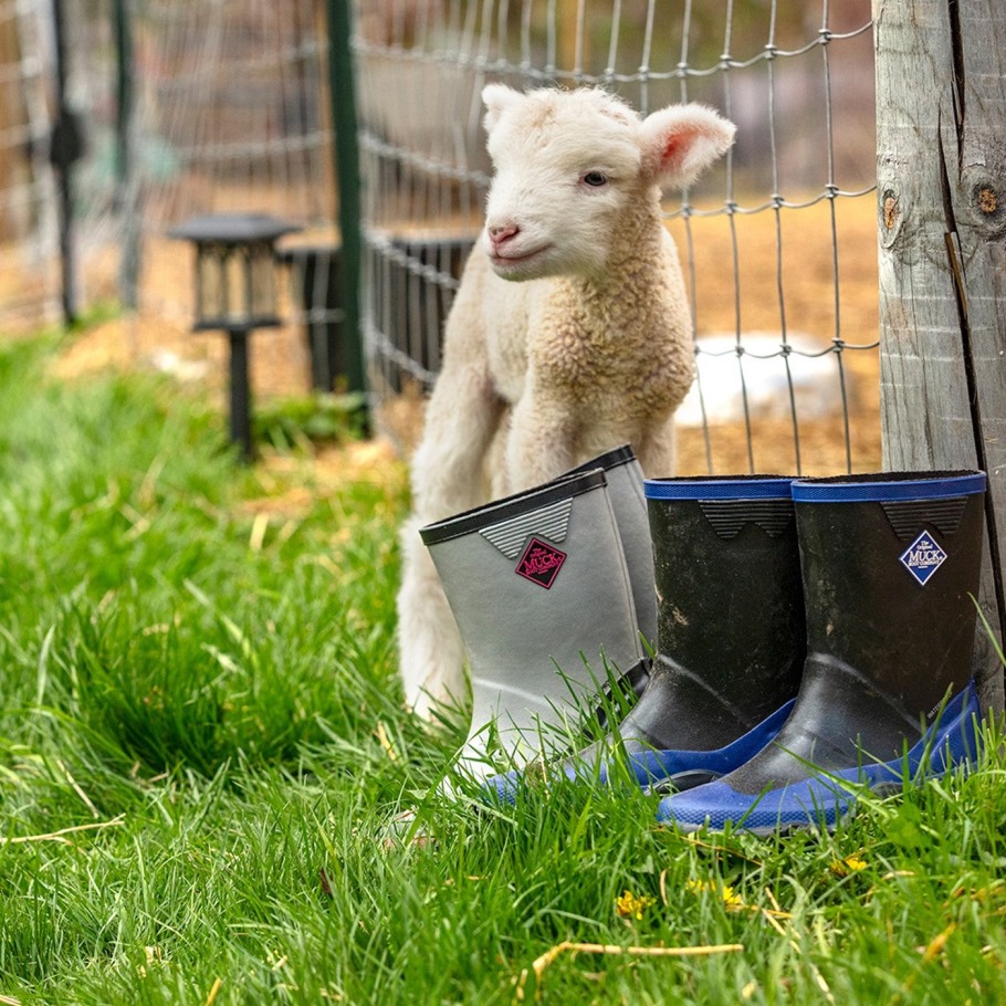 Hoge Kinderlaarzen Forager Zwart Blauw Muckboot