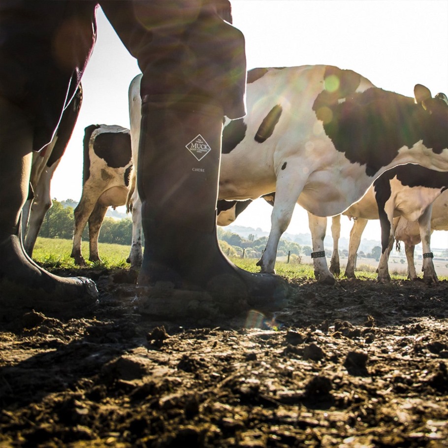 Muckboot Moss Unisex Karwei Hoge Laarzen Met Stalen Neus