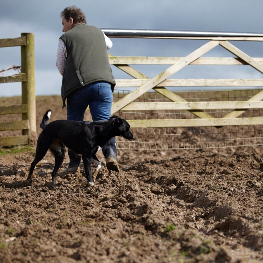 Bark Excursie Pro Schoenen Voor Heren Muckboot