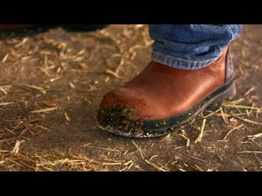 Chelsea Veiligheidslaarzen Voor Heren, Chore Farm, Caramel Muckboot