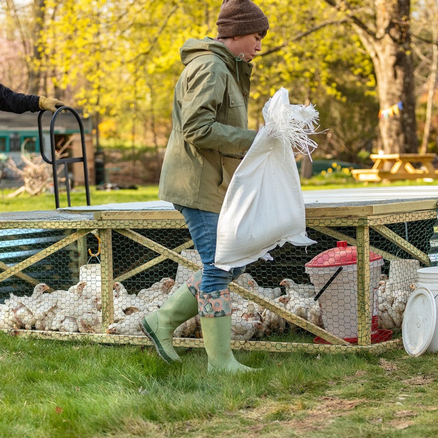 Muckboot Hoge Laarzen Voor Dames Met Zonnebloemprint